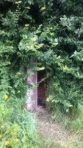 img-20170210-wa00031